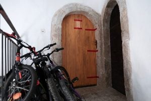 Mulher é presa na França por manter cinco bebês mortos em casa