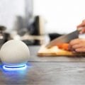 Alexa+ no Brasil: descubra se seu Echo ou Fire TV receberá a nova IA da Amazon