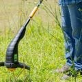 Qual o melhor momento para aparar a grama? O equipamento faz diferença
