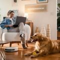 Qual o melhor robô aspirador para sua casa? Veja como escolher o modelo ideal