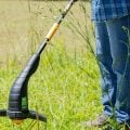 O melhor aparador de grama pode transformar a manutenção do jardim?