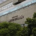 São Paulo vive apagão em perfis de hospitais e institutos no período eleitoral