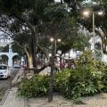Meteorologistas dizem que não é possível associar ventanias ao El Niño