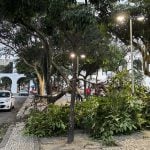 Meteorologistas dizem que não é possível associar ventanias ao El Niño
