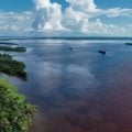 Petróleo na Foz do Amazonas