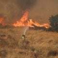 Prefeito de cidade perto de Atenas é preso acusado de incêndio criminoso em área florestal