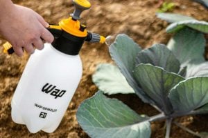 Qual o melhor pulverizador manual para cuidar do jardim e da casa?