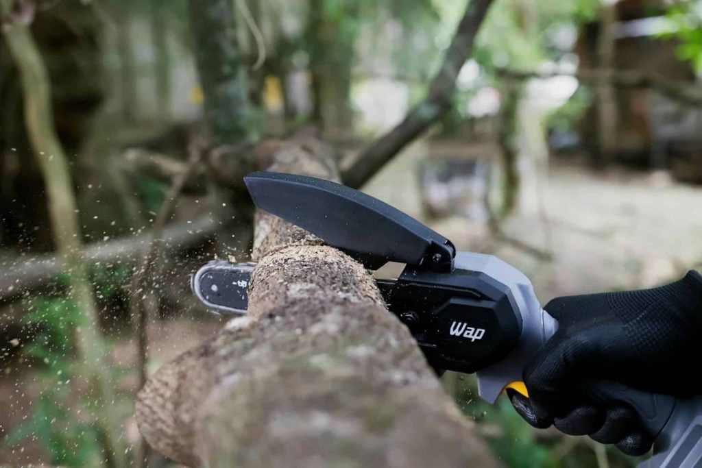 Melhor ferramenta para cuidar do jardim? Veja qual atende cada tipo de poda