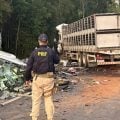 Batida entre micro-ônibus e carreta causa mais de 20 mortes no Paraná