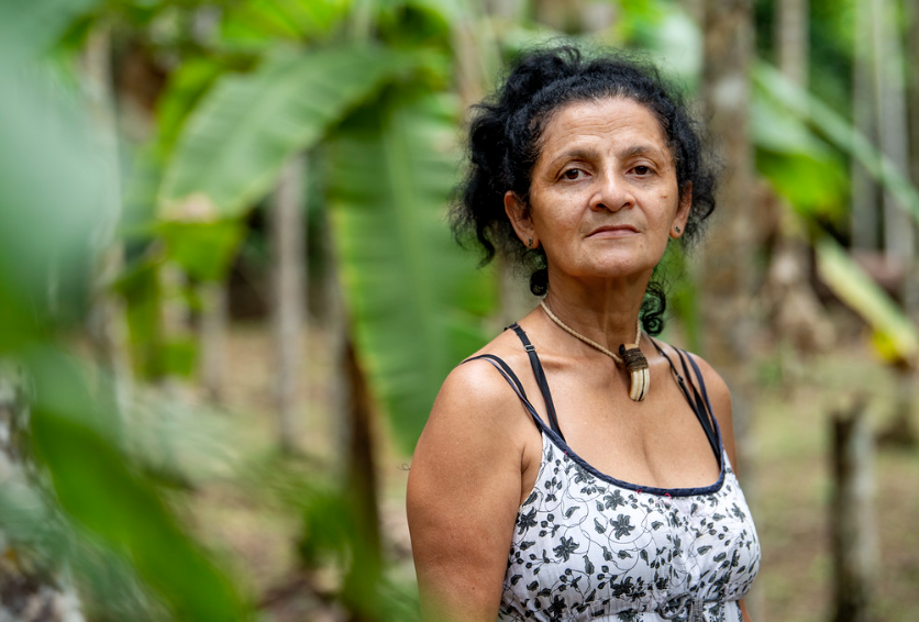 PSB sacrifica liderança ambiental em nome da aliança com o PT na Amazônia
