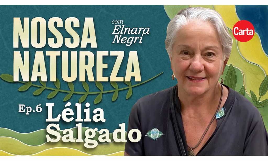 Lélia Salgado explica como criar uma floresta