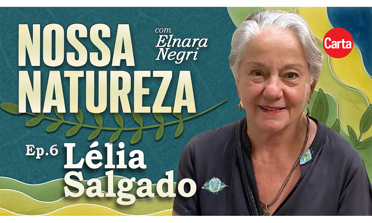 l-lia-salgado-explica-como-criar-uma-floresta-cartacapital