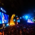 Festival capixaba reúne grandes nomes da música nacional e artistas locais