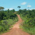 Justiça barra tentativa de agropecuária de ocupar terra indígena em Mato Grosso