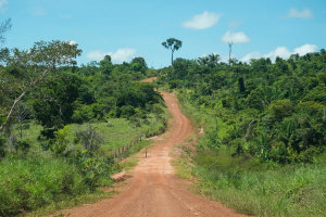 Justiça barra tentativa de agropecuária de ocupar terra indígena em Mato Grosso