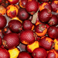 Buriti: descubra os benefícios do fruto e como incluí-lo na alimentação