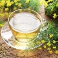 Erva-doce: 7 benefícios da planta para a saúde e formas de consumo