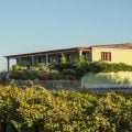 O Oceano Atlântico na taça