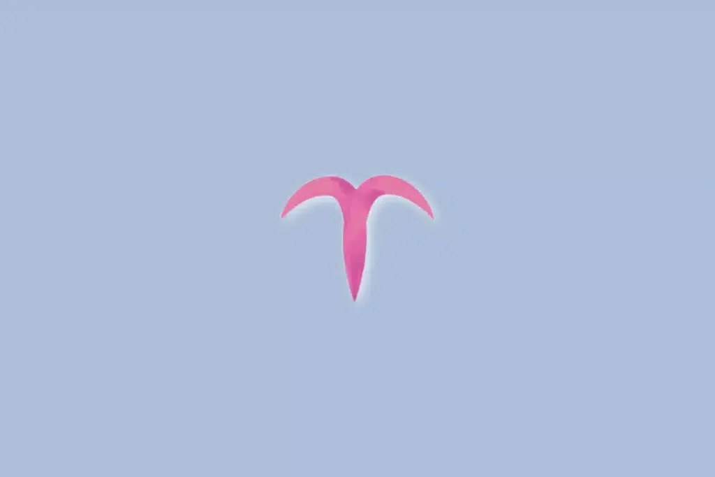 Tarot do dia: previsão para os 12 signos em 05/09/2026