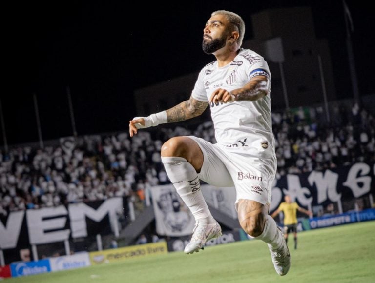 Gabigol (Foto: Reprodução/Santos FC)